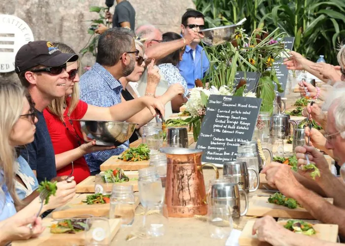 Group of people eating dinner together at a table in a corn field