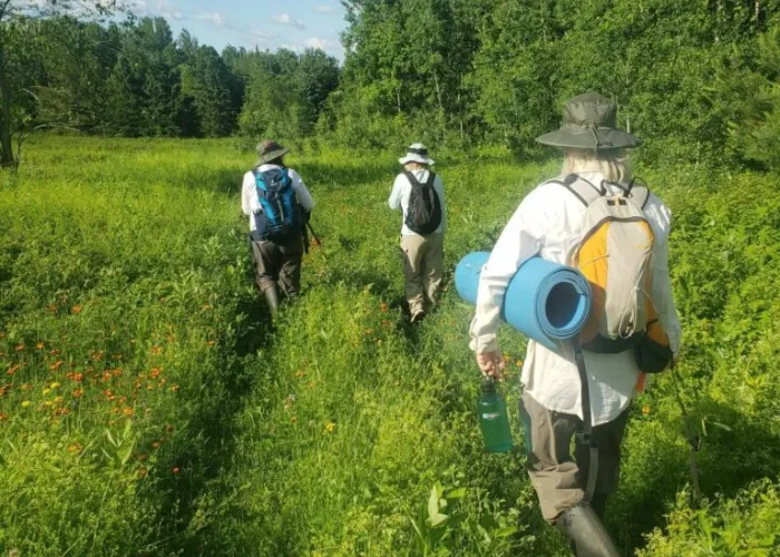 Three poeple hiking on a trail adjacent a forest