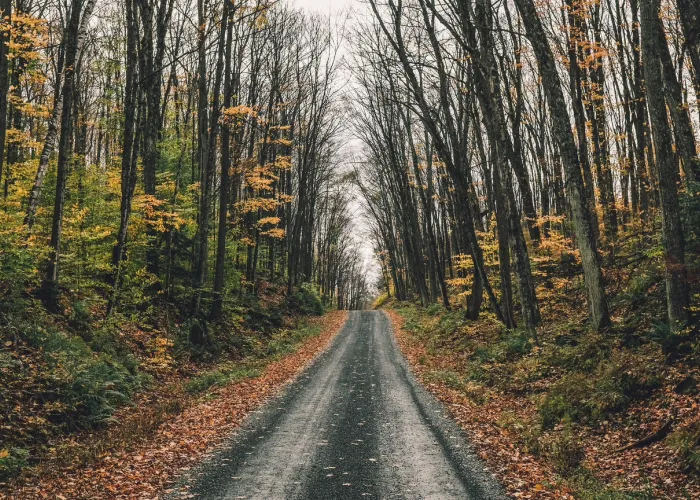 Fall Backroad Cycling Route in Tweed, Ontario